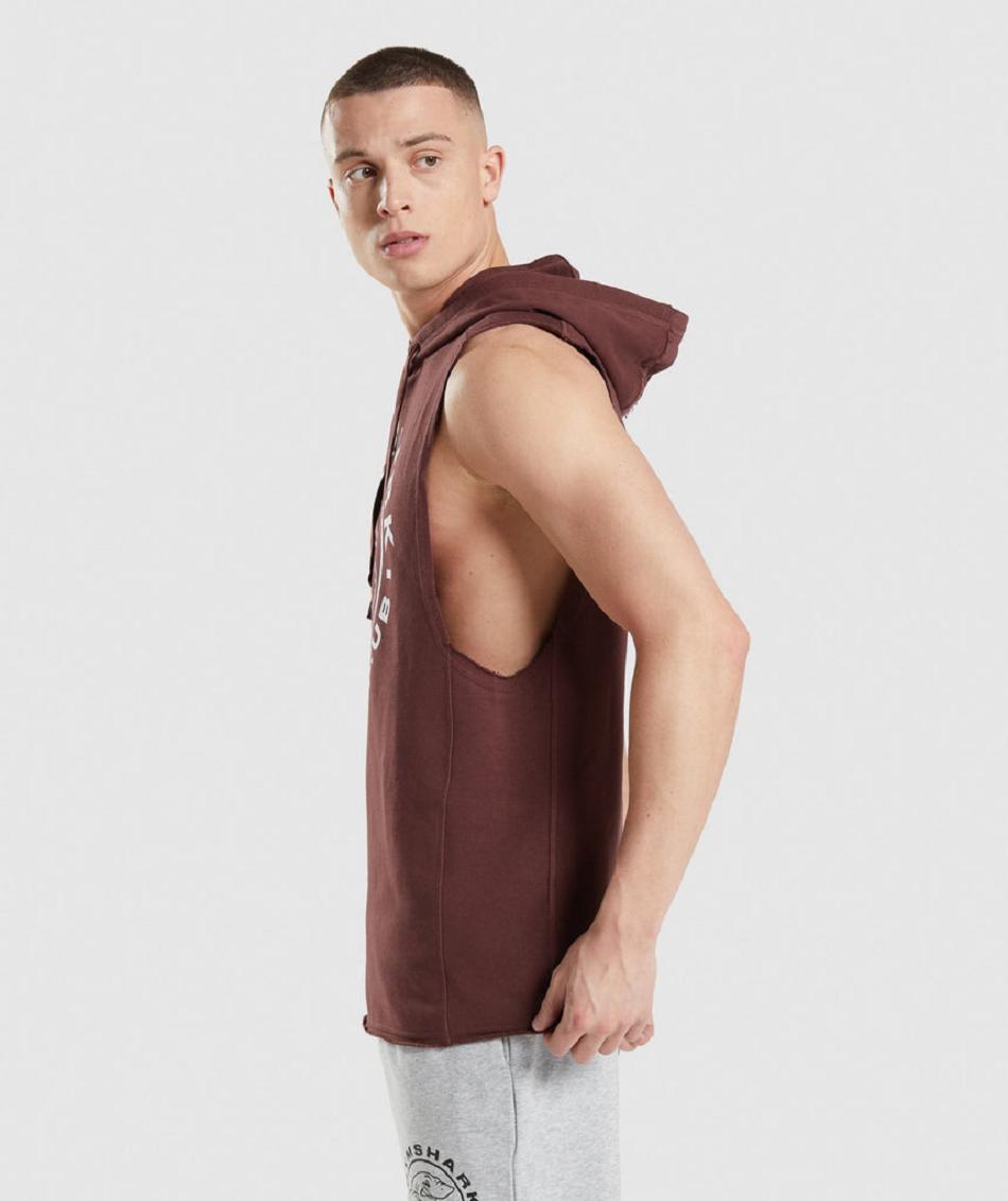 Sudadera Con Capucha Gymshark Legacy Drop Arm Hombre Rosas Marrones | CO 3636JPQ